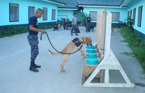 sniffing-for-bombs.jpg