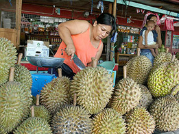 A fruit vendor slices a durian at a stall on Magsaysay Park in Davao City. The fruit is a favorite 'pasalubong' by tourists despite its smell. FILE PHOTO