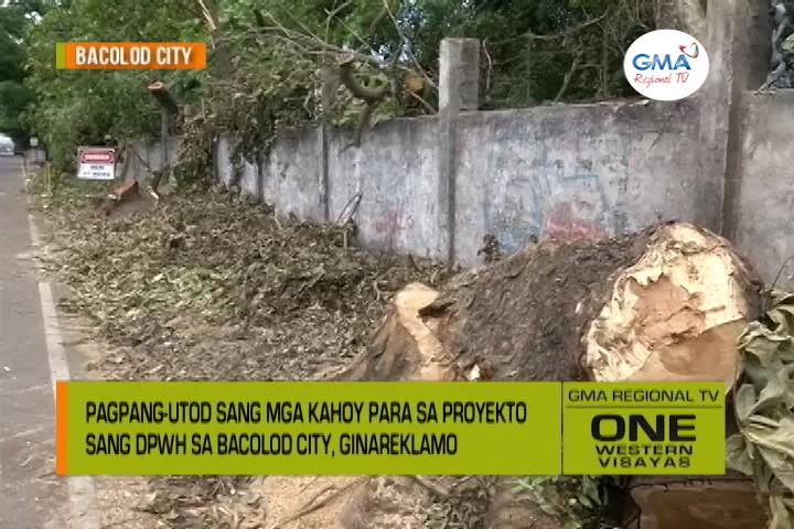 One Western Visayas Mga Kahoy Ginpang Utod Para Sa Proyekto Sang Dpwh