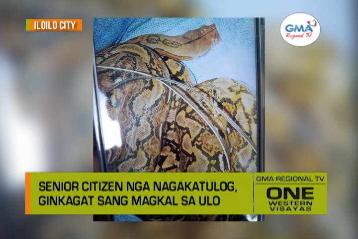 One Western Visayas Senior Citizen Nga Nagakatulog Ginkagat Sang