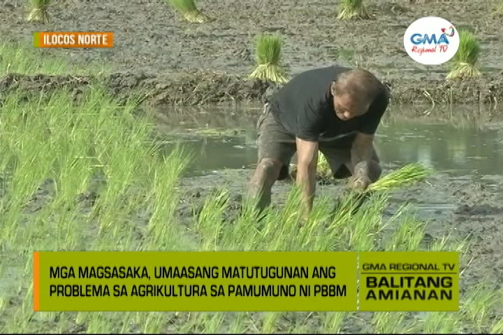 Balitang Amianan Pag Asa Sa Agrikultura Balitang Amianan GMA