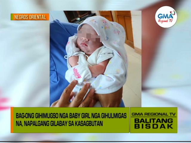 Balitang Bisdak Puya Gisagol Sa Mga Basura Balitang Bisdak Gma Regional Tv Online Home Of