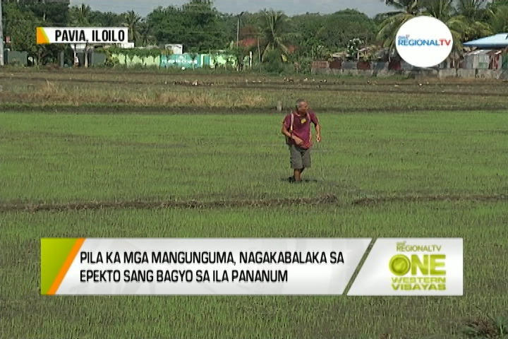 One Western Visayas Pila Ka Mga Mangunguma Nagakabalaka Sa Epekto