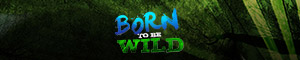 Born to be Wild
