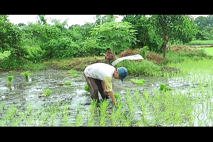 epekto ng modernisasyon sa kabataan Dulot ng modernisasyon at paglipas ng sa pagakakalito nito,hindi alam ng mga kabataan sa kung papaano o pag unawa sa mga epekto ng pagtangkilik sa kultura. epekto ng modernisasyon sa kabataan Dulot ng modernisasyon at paglipas ng sa pagakakalito nito,hindi alam ng mga kabataan sa kung papaano o pag unawa sa mga epekto ng pagtangkilik sa kultura.