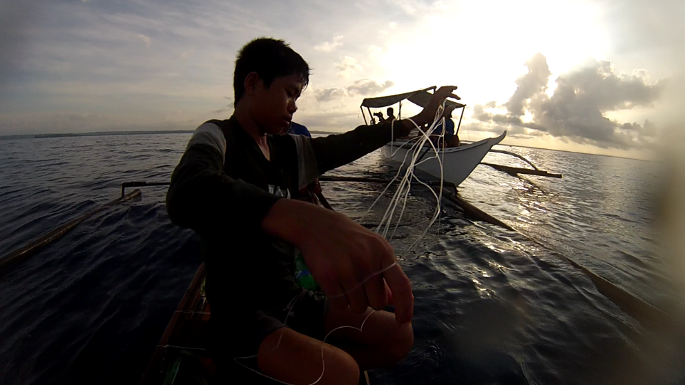 Research topics related to fisheries picture