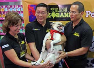 Hero dog Kabang goes to Makati after arriving from US