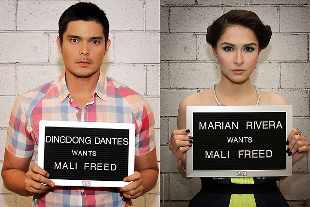 Marian Rivera, Dingdong Dantes join call for Mali the ...