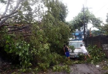Yolandas super winds down trees in Cebu