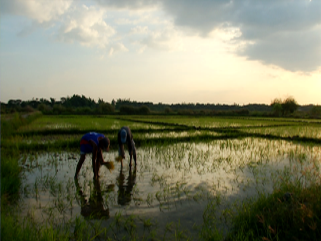 Notebook,' natuklasan ang sistema ng korapsiyon sa agrikultura