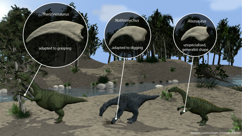 dinosaur with the longest claws