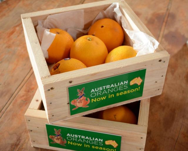 Australian oranges, the world’s sweetest, now in PHL