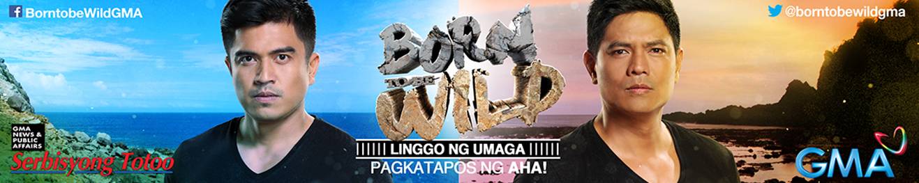 Born to be Wild anniversary banner