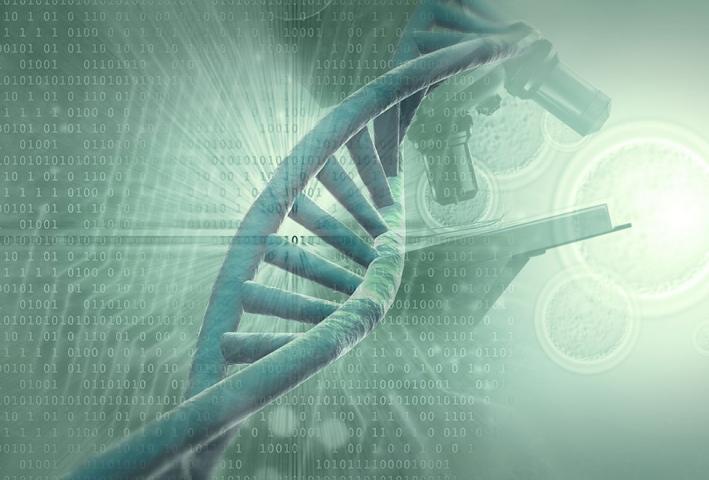 No Gay Gene But Study Finds Genetic Links To Sexual Behavior