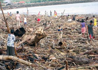 Forest debris awashed by Seniang litter shores of Misamis town