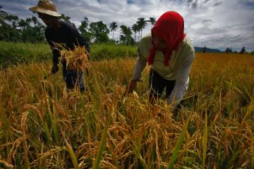 GMA News Online | GMA News Online