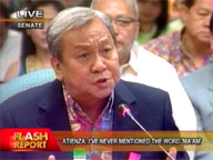 DENR chief says he's protecting his name