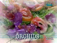 <b>Kapuso Mo, Jessica Soho:</b> Orchids