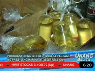 Biofuel production affected by rising prices of flour, vegetable oil