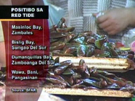 Shellfish ban still up in Zambales