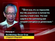 Church urged not to interfere in population policy