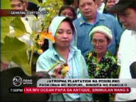 Arroyo visits possible biofuel source in Cotabato