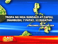 7 killed, 12 hurt in Lanao del Sur ambush