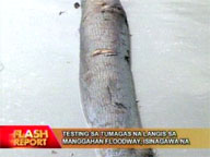Tests conducted on oil leak at Manggahan Floodway