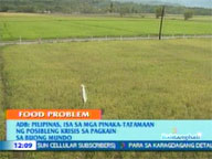  QTV:  ADB: RP likely to be hit by global food crisis