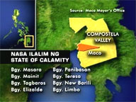 8 villages in Compostela Valley put under 'state of calamity'