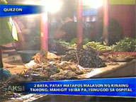 <b>Saksi:</b> 2 died, 10 hospitalized after eating mussels