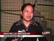 PETA tips for an animal-friendly Christmas