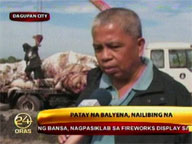 Dead whale buried in Pangasinan