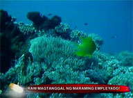 Govt promoting RP as a prime dive site