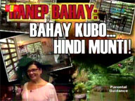 <b> Mel and Joey: </b> Hanep Bahay