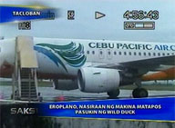  Saksi:   Plane develops engine trouble; passengers safe