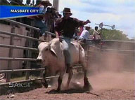 <b>Saksi:</b> Cowboys, cowgirls outdo each other in Masbate Rodeo Festival
