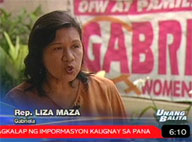 House to still discuss provisions in Magna Carta of Women