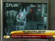 APEC ministerial meeting tackles swine flu problem