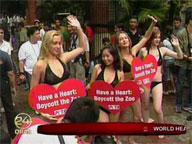 Bikini-clad PETA protestors draw crowd in Manila
