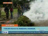  QTV:  P300,000 worth of marijuana seized