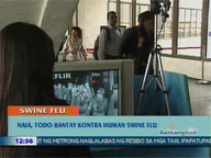 <b>QTV:</b> NAIA on alert vs possible human swine flu carrier