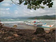  Saksi:  Cheap summer holidays here and abroad