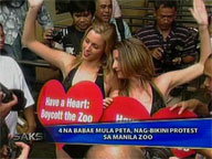  Saksi:  PETA stages 'bikini rally' in front of Manila Zoo