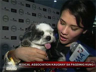Stylish dogs featured in PAWS event