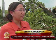 Thousands of trees affected by road project in Pampanga
