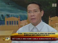 DOH: No vaccine yet vs A(H1N1)