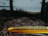 Rep. Suarez's alleged motive in treating Arroyo to dinner bared