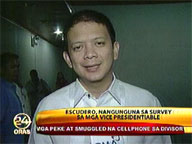 Escudero leads Pulse Asia survey on VP bets