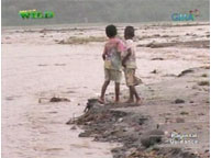 <b> Born to be Wild: </b> Nature and Disaster